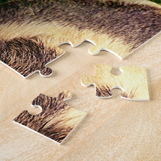 Agouti-Guinea Schwein im Gras Puzzle (Seite)