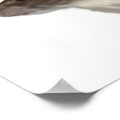 Agouti Hooded Rat Poster (Ecke)