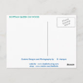 ÄGPTISCHE QUEEN AUF DER HOLZPOSTKARTE POSTKARTE (Rückseite)