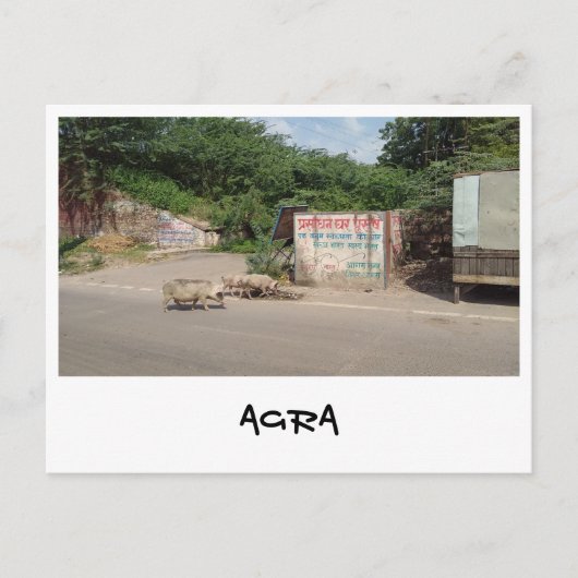 Agra, Uttar Pradesh (Indien) Postkarte (Vorderseite)