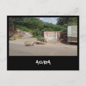 Agra, Uttar Pradesh (Indien) Postkarte (Vorderseite)