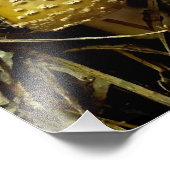 agrarisch aufstrebende fotodruck (Ecke)