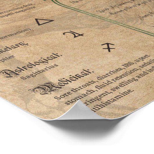 Agrimony Kräuterbuch Schatten Pagan Wiccan Poster (Ecke)