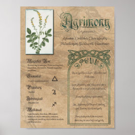 Agrimony Kräuterbuch Schatten Pagan Wiccan Poster