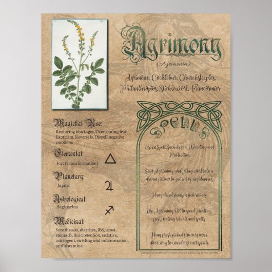 Agrimony Kräuterbuch Schatten Pagan Wiccan Poster (Vorne)