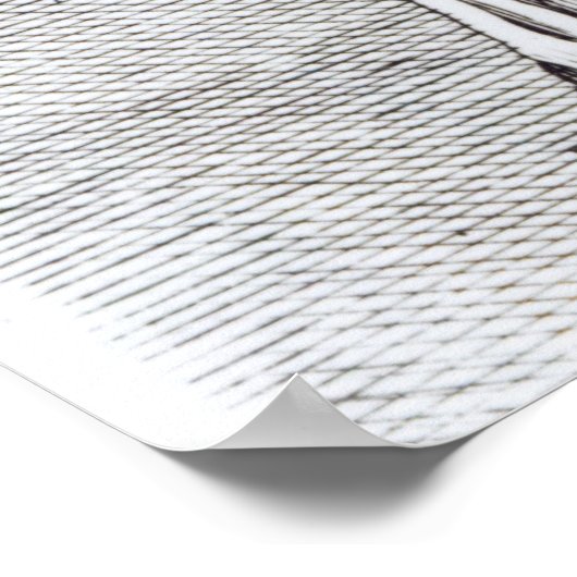 Agrippina, c.1653 poster (Ecke)