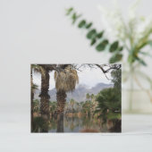 Agua Caliente Park Tucson Az Postkarte (Stehend Vorderseite)