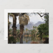 Agua Caliente Park Tucson Az Postkarte (Vorne/Hinten)