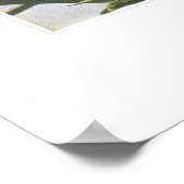 Ague oder Colicroot; Star Grass - Aletris farinosa Poster (Ecke)