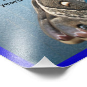 Aguna Butterfly Foto Erweiterung (Ecke)