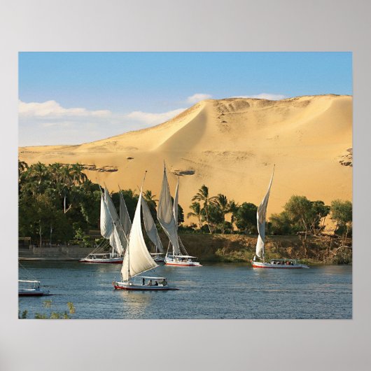 Ägypten, Assuan, Nile River, Felucca Segelboote, 2 Poster (Vorne)