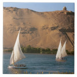 Ägypten, Assuan, Nile River, Felucca Segelboote, Fliese<br><div class="desc">COPYRIGHT Michael Glatt / DanitaDelimont.com| AF14 MGL0008.jpg| Ägypten,  Assuan,  Nile River,  Felucca Segelboote,  Palmen und die großen Sanddünen der Sahara Wüste im Hintergrund.</div>