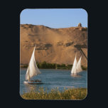 Ägypten, Assuan, Nile River, Felucca Segelboote, Magnet<br><div class="desc">COPYRIGHT Michael Glatt / DanitaDelimont.com | AF14 MGL0008.jpg | Ägypten,  Assuan,  Nile River,  Felucca Segelboote,  Palmen und die großen Sanddünen der Sahara Wüste im Hintergrund.</div>