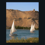 Ägypten, Assuan, Nile River, Felucca Segelboote, Poster<br><div class="desc">COPYRIGHT Michael Glatt / DanitaDelimont.com | AF14 MGL0008.jpg | Ägypten,  Assuan,  Nile River,  Felucca Segelboote,  Palmen und die großen Sanddünen der Sahara Wüste im Hintergrund.</div>