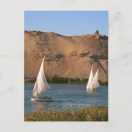 Ägypten, Assuan, Nile River, Felucca Segelboote, Postkarte (Vorderseite)