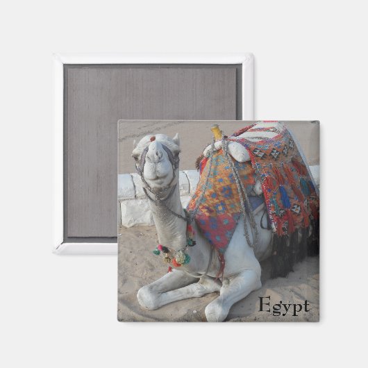Ägypten Camel Magnet (Vorderseite/Rückseite)