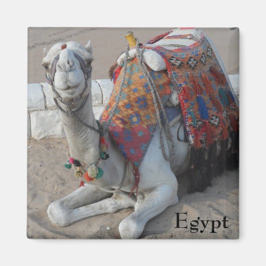 Ägypten Camel Magnet (Vorne)