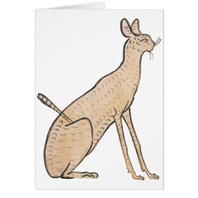 Ägypten Cat (Vorne)