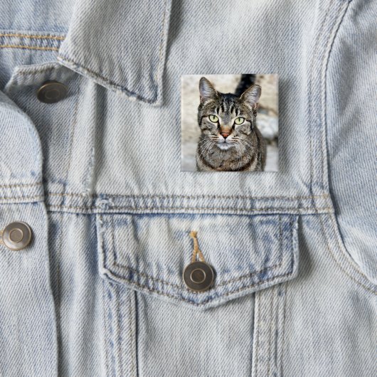 Ägypten Cat Button (Beispiel)
