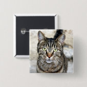 Ägypten Cat Button (Vorne & Hinten)