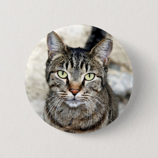 Ägypten Cat Button (Vorderseite)