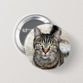 Ägypten Cat Button (Vorne & Hinten)