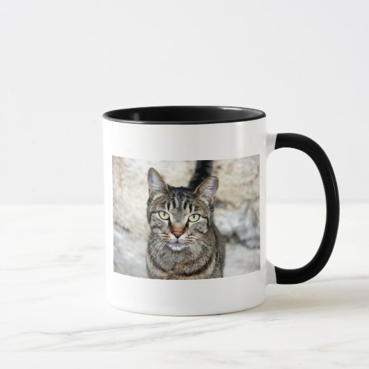 Ägypten Cat Tasse (Rechts)