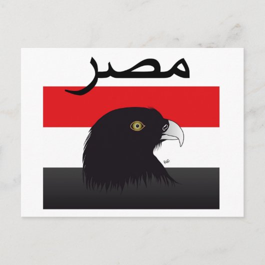 Ägypten - Egypt Postkarte (Vorderseite)