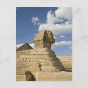 Ägypten, Giza. Die große Sphynx erhebt sich über d Postkarte