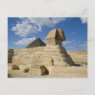 Ägypten, Gizeh. Die große Sphynx erhebt sich über  Postkarte