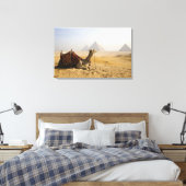 Ägypten, Kairo. Ein einsames Kamel Leinwanddruck (Insitu (Schlafzimmer))