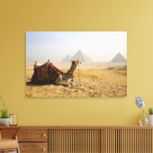 Ägypten, Kairo. Ein einsames Kamel Leinwanddruck (Insitu (Wohnzimmer))