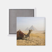Ägypten, Kairo. Ein einsames Kamel Magnet (Vorderseite/Rückseite)