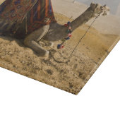 Ägypten, Kairo. Ein einsames Kamel Schneidebrett (Ecke)