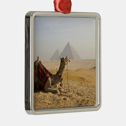 Ägypten, Kairo. Ein einsames Kamel Silbernes Ornament (Rechts)