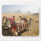 Ägypten, Kairo. Ruderkamele Mousepad (Vorne)