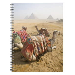 Ägypten, Kairo. Ruderkamele Notizblock