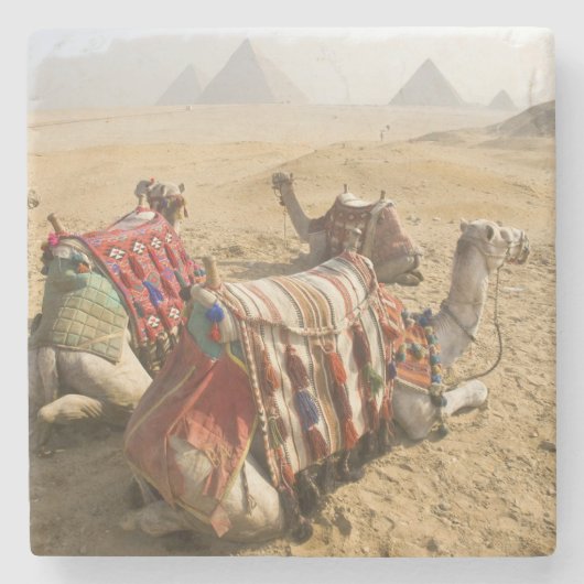 Ägypten, Kairo. Ruderkamele Steinuntersetzer (Vorderseite)