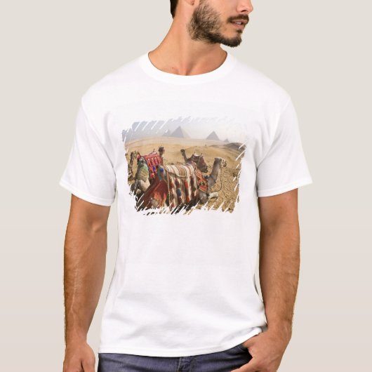 Ägypten, Kairo. Ruderkamele T-Shirt (Vorderseite)