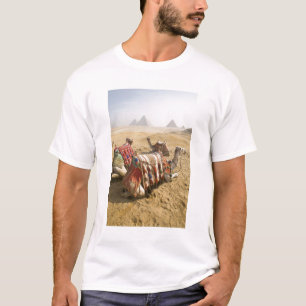 Ägypten, Kairo. Ruderkamele T-Shirt