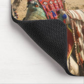 Ägypten, Kairo. Ruhende Kamele Mousepad (Ecke)