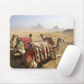 Ägypten, Kairo. Ruhende Kamele Mousepad (Mit Mouse)
