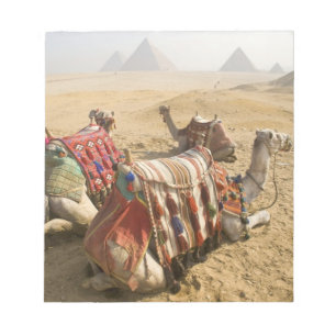 Ägypten, Kairo. Ruhende Kamele Notizblock