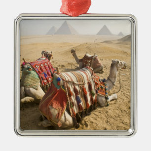 Ägypten, Kairo. Ruhende Kamele Silbernes Ornament