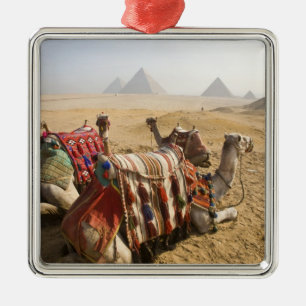 Ägypten, Kairo. Ruhende Kamele Silbernes Ornament