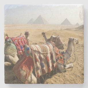 Ägypten, Kairo. Ruhende Kamele Steinuntersetzer