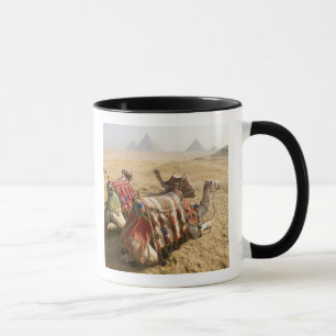 Ägypten, Kairo. Ruhende Kamele Tasse