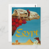 Ägypten, Kamel in der Wüste mit Pyramiden und Sphi Postkarte (Vorne/Hinten)