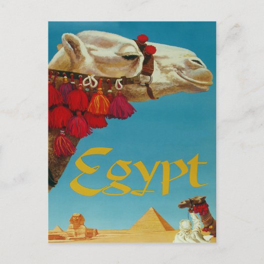 Ägypten, Kamel in der Wüste mit Pyramiden und Sphi Postkarte (Vorderseite)