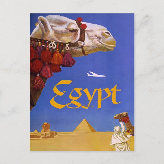 Ägypten Kamel Postkarte (Vorderseite)